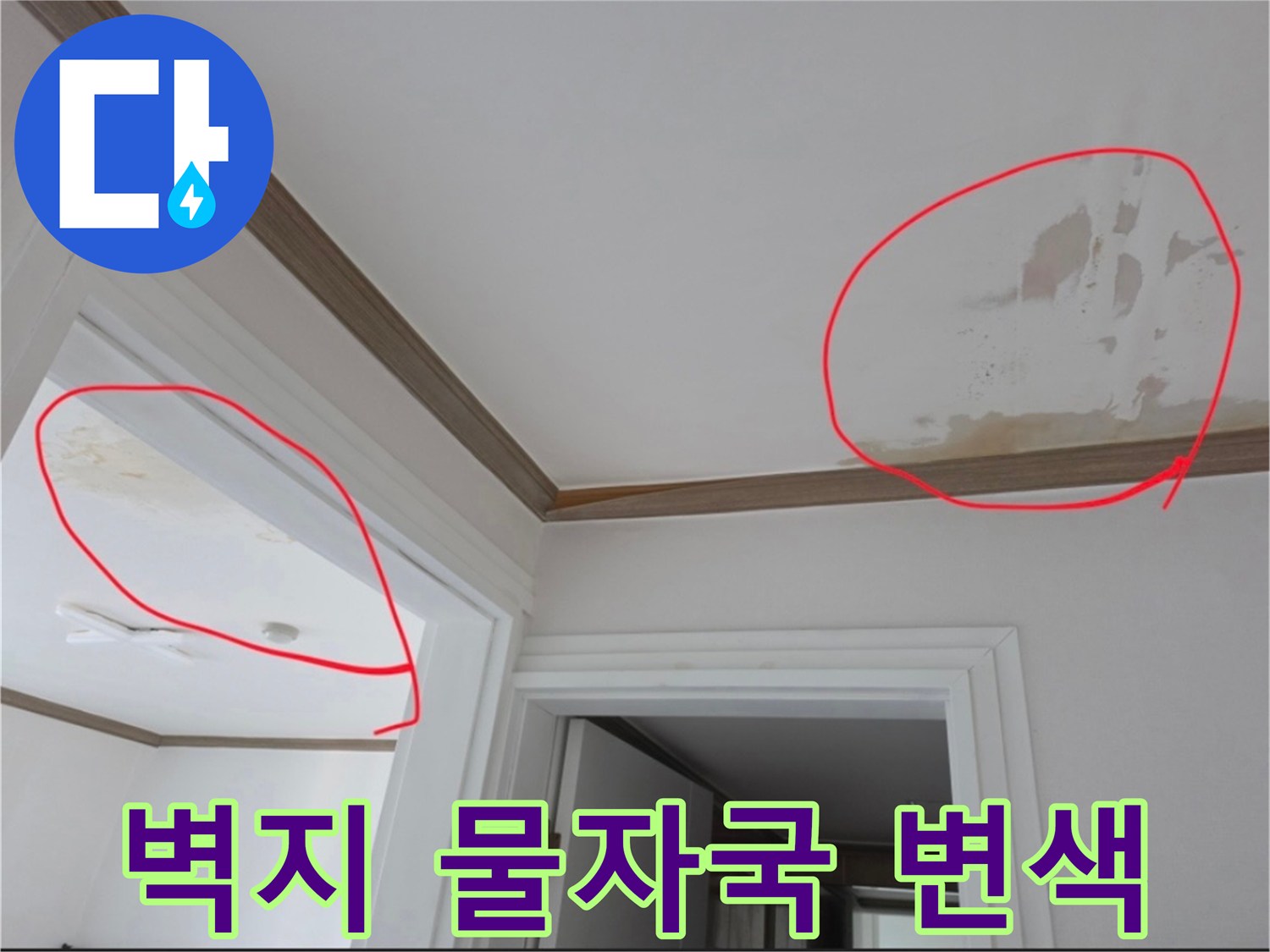 천장-몰딩-주변의-심한-물얼룩-및-오염