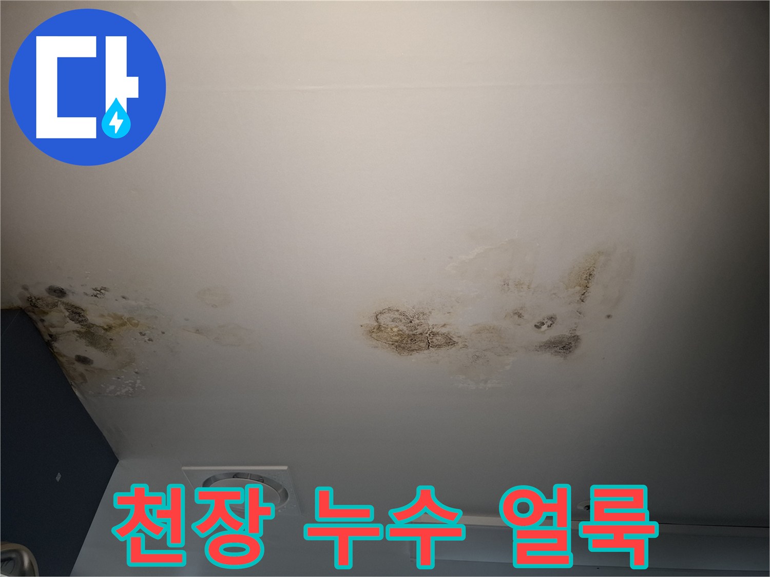 물샘 현상이 진행된 천장 마감재의 오염 부위