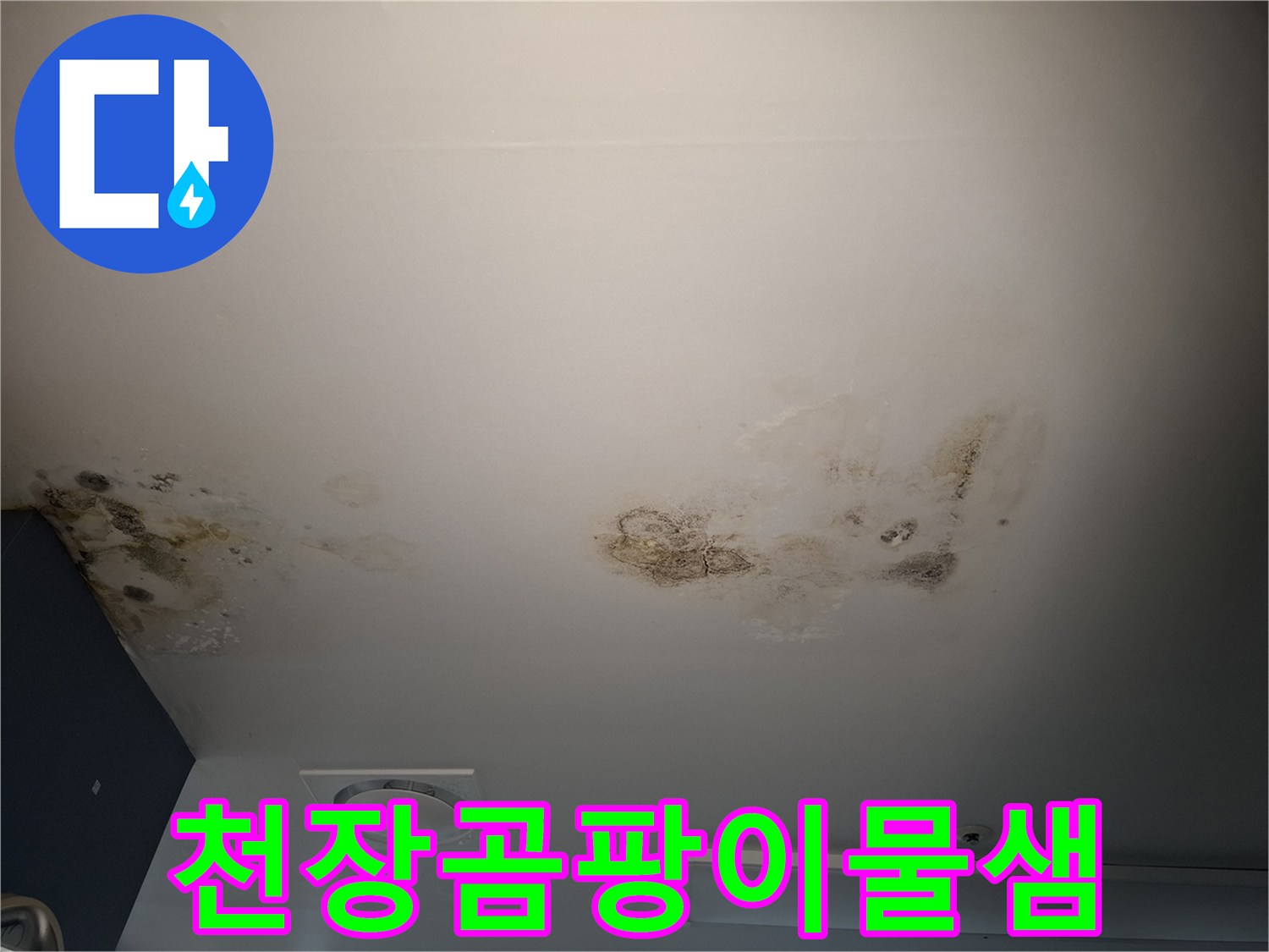 천장 텍스에 나타난 검은 곰팡이와 물샘 흔적 상세