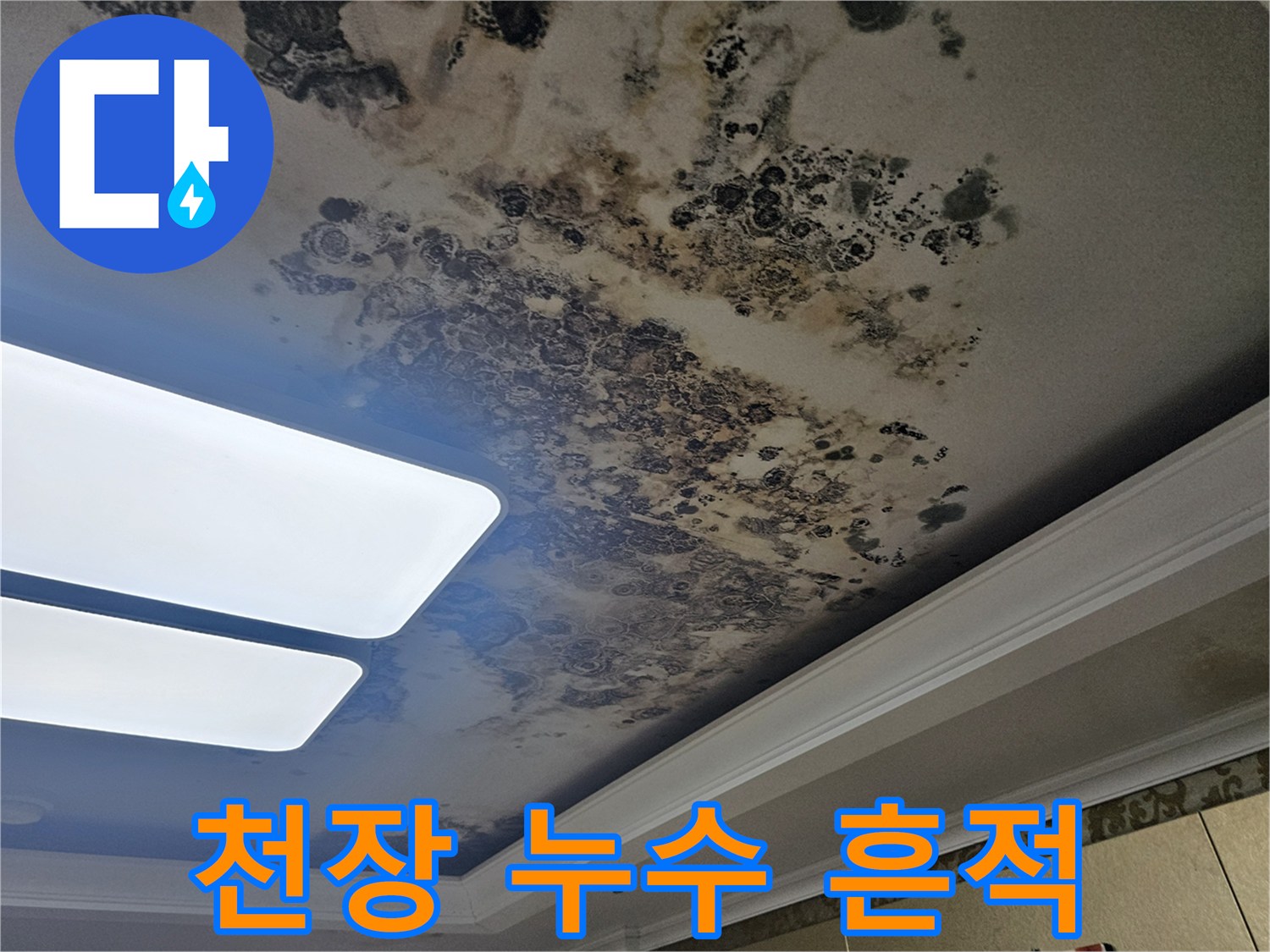 거실 천장 마감재에 나타난 심한 수분 변색과 곰팡이 부위