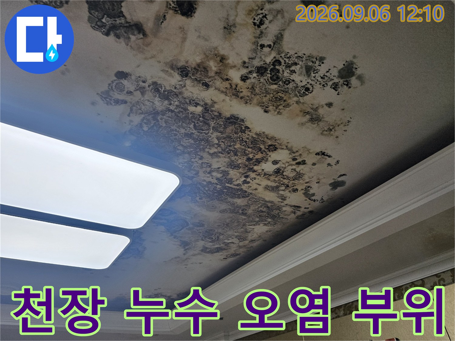 심하게 변색되고 곰팡이가 발생한 거실 천장 내부 상황