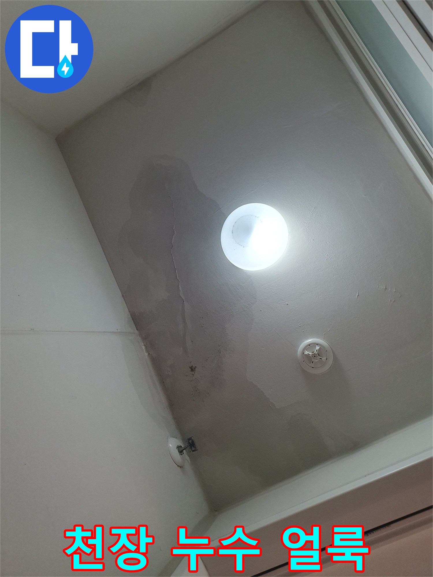 동탄 세탁실-천장에 발생한 넓은 범위의 습기 얼룩