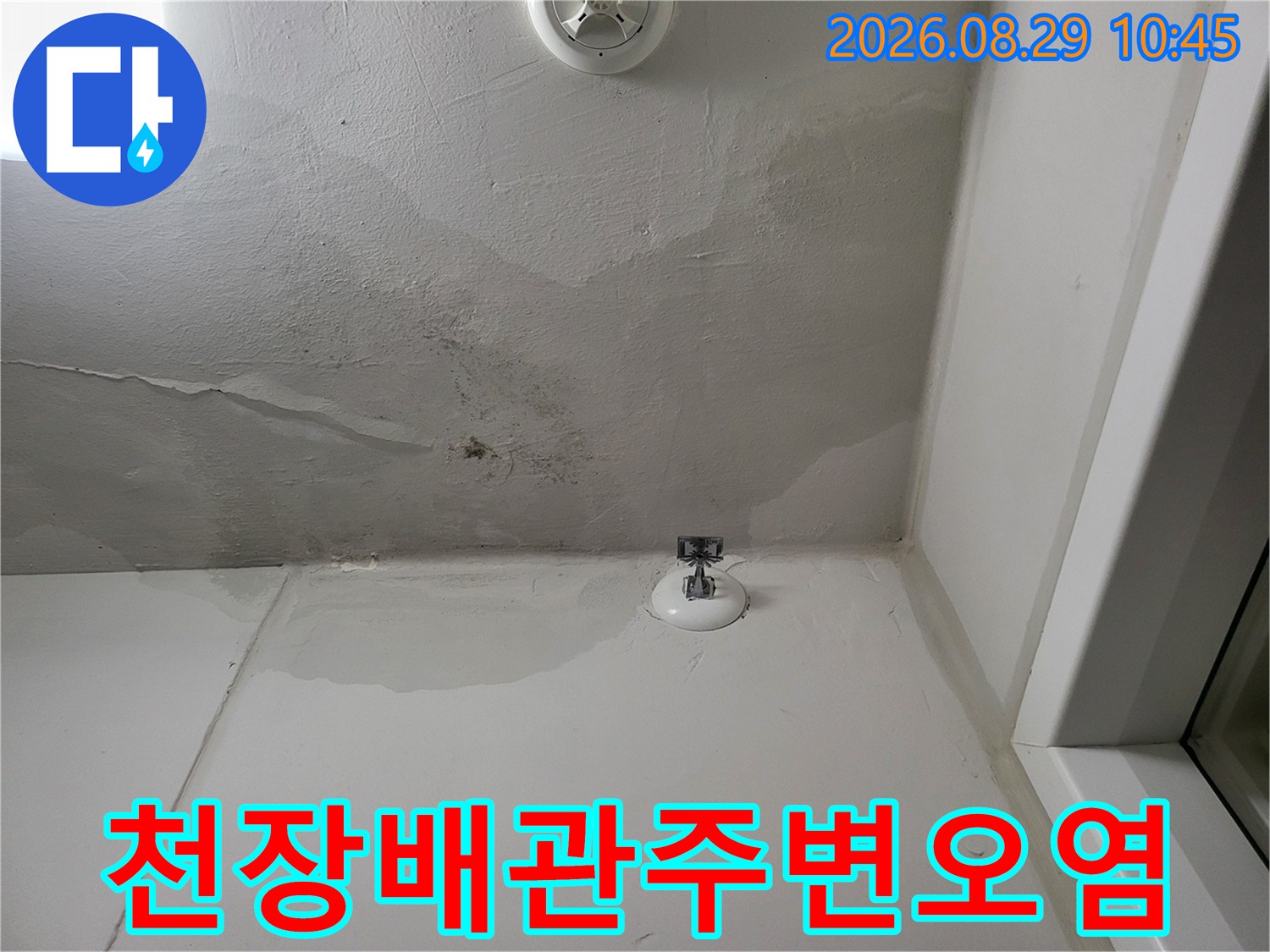 세탁실 배관 연결 부위 주변의 심한 변색과 누수 흔적을 보여줍니다.