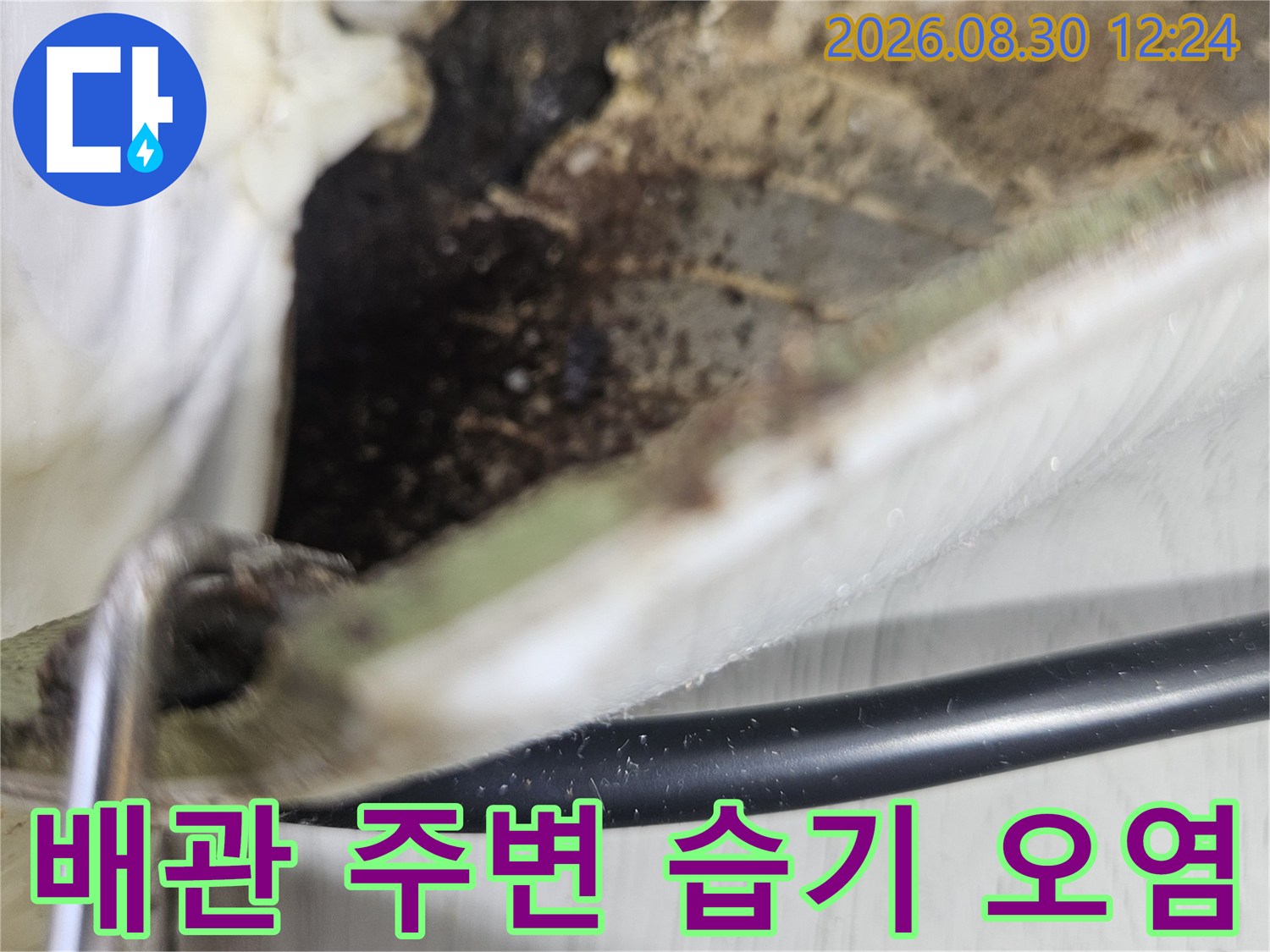 검은 곰팡이로 오염된 배관 주변 벽체 내부 모습