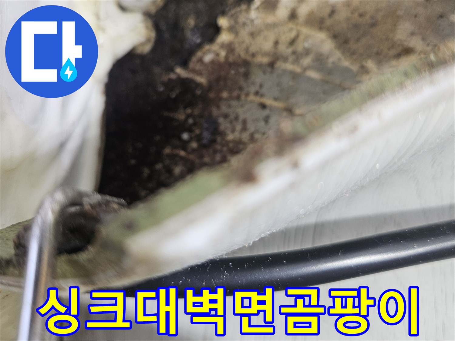 싱크대 내부-벽면 곰팡이와 습기 상태