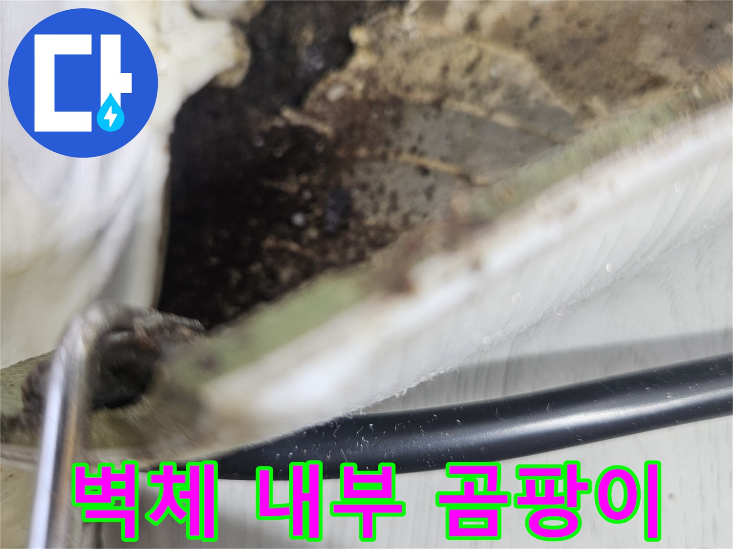 절개된 벽면 내부-심한 곰팡이와 습기가 관찰됨