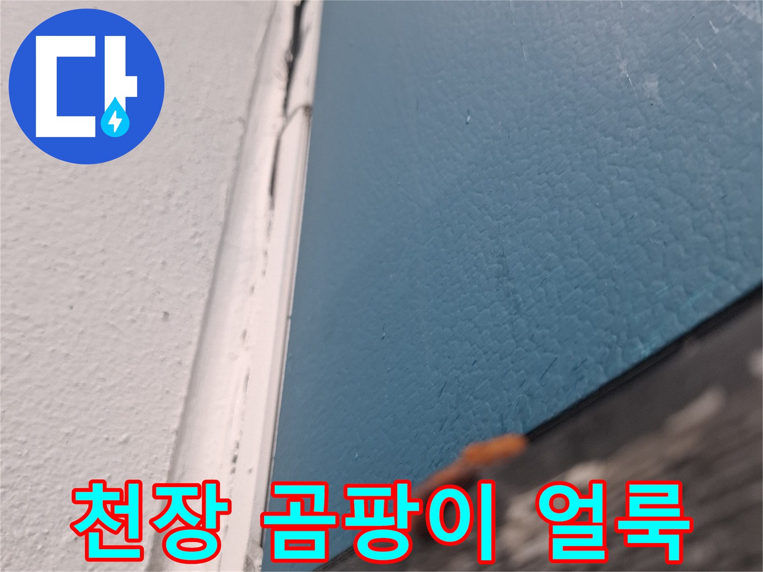거실 천장-물샘으로 인해 발생한 곰팡이와 벽지 오염