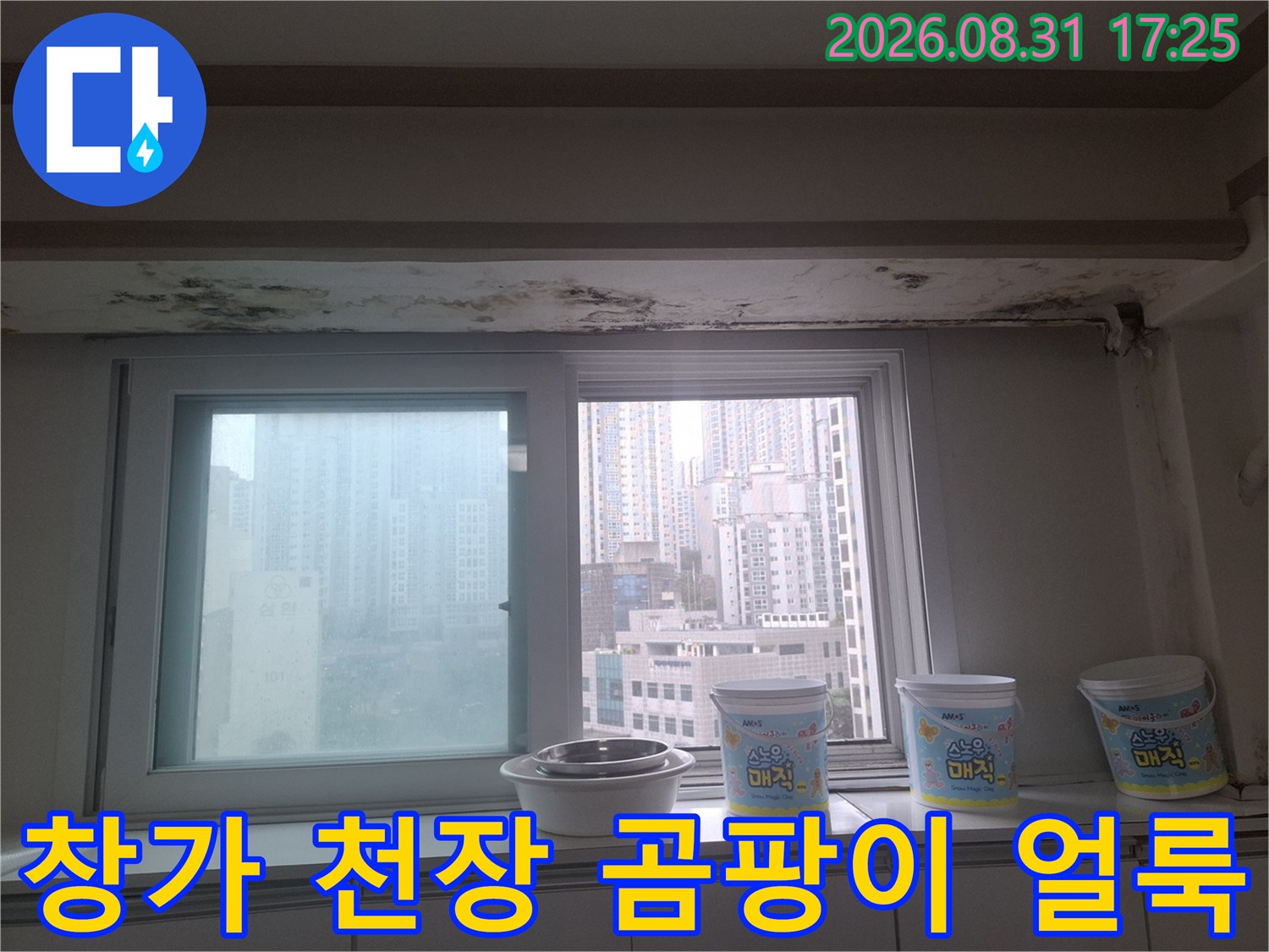 마포구 아현동 아파트 거실 창가 천장 부근에 발생한 검은색 곰팡이와 물 얼룩 현상