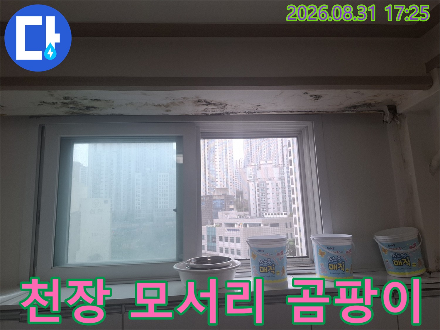 창문 상단 천장 부위-심하게 오염된 곰팡이와 물 얼룩 상태