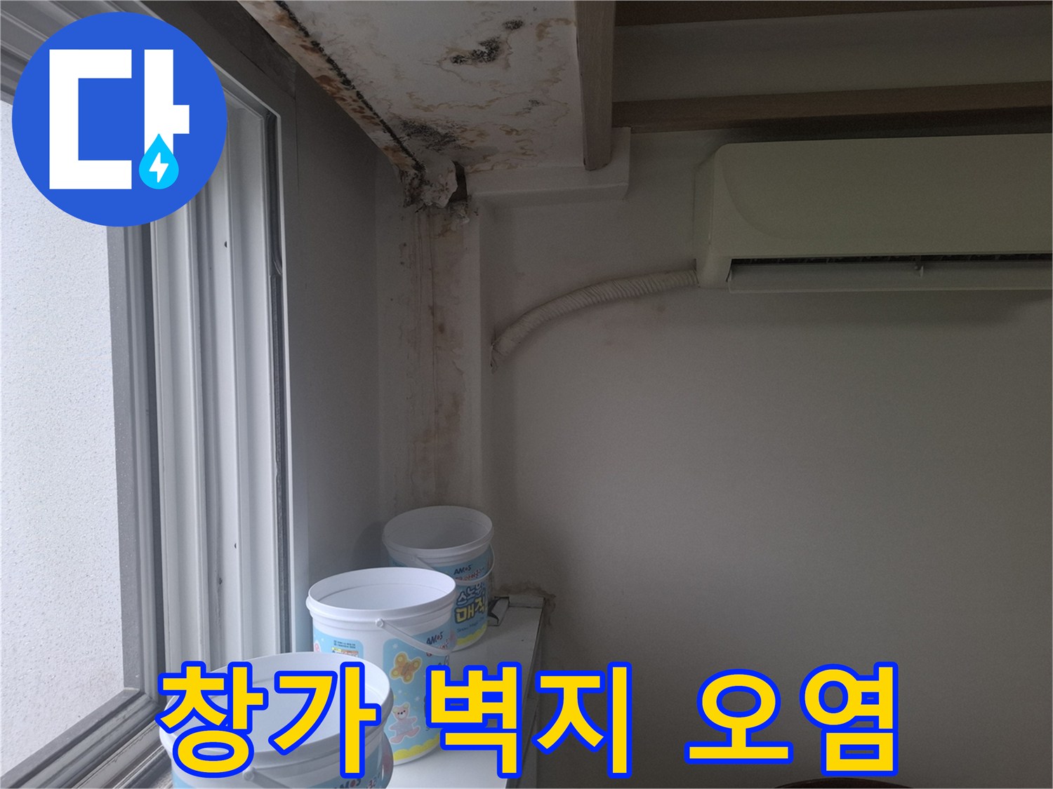창문 옆 벽지에 발생한 광범위한 곰팡이와 물 얼룩