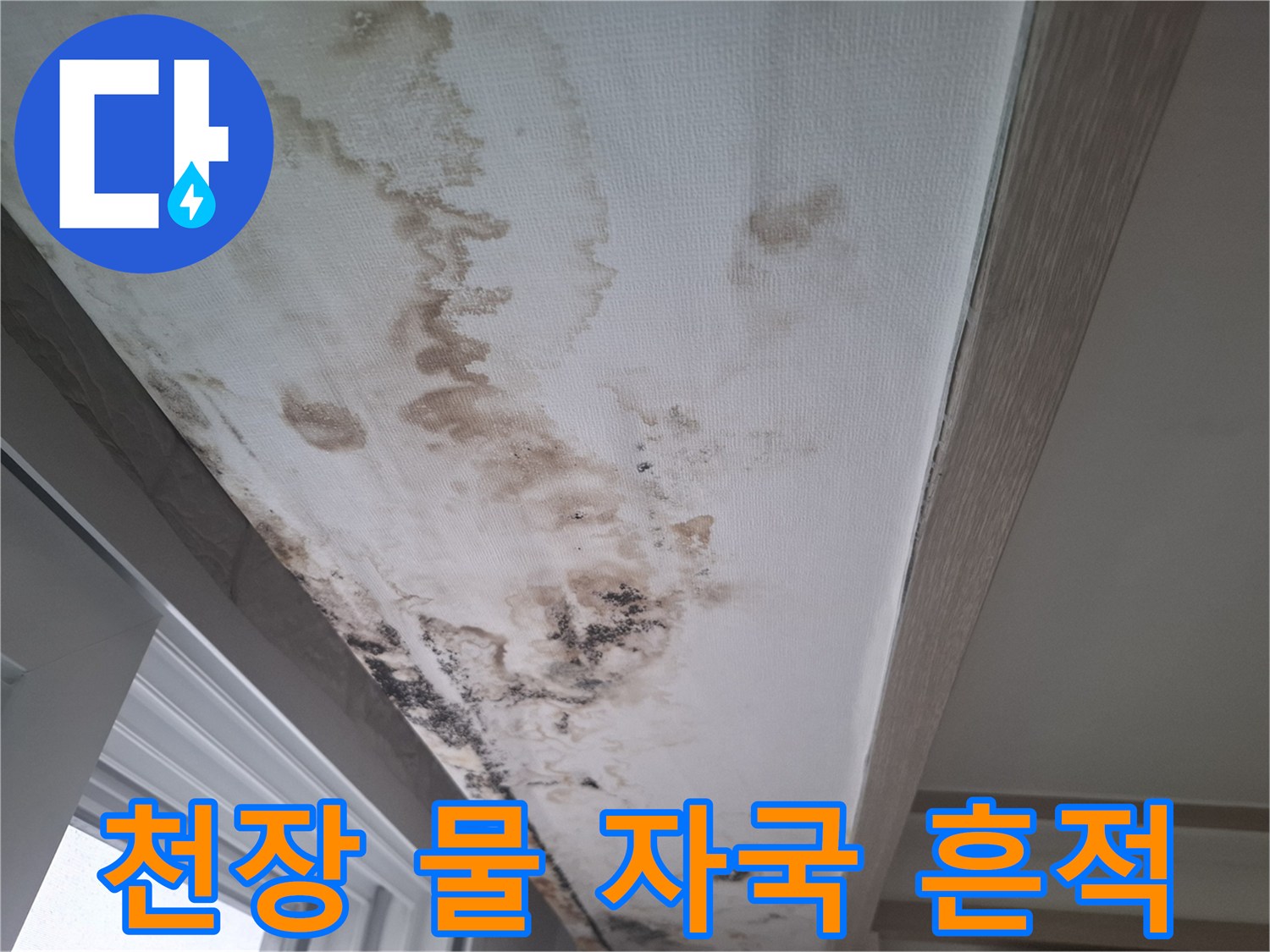 천장 벽면의 젖은 듯한 얼룩과 검게 변한 곰팡이 부위