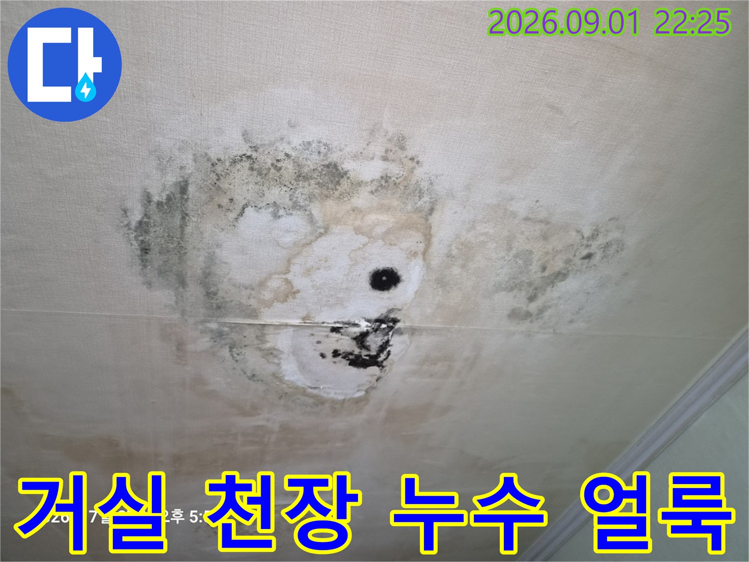 갈색 변색과 곰팡이가 심하게 나타난 거실 천장 벽지