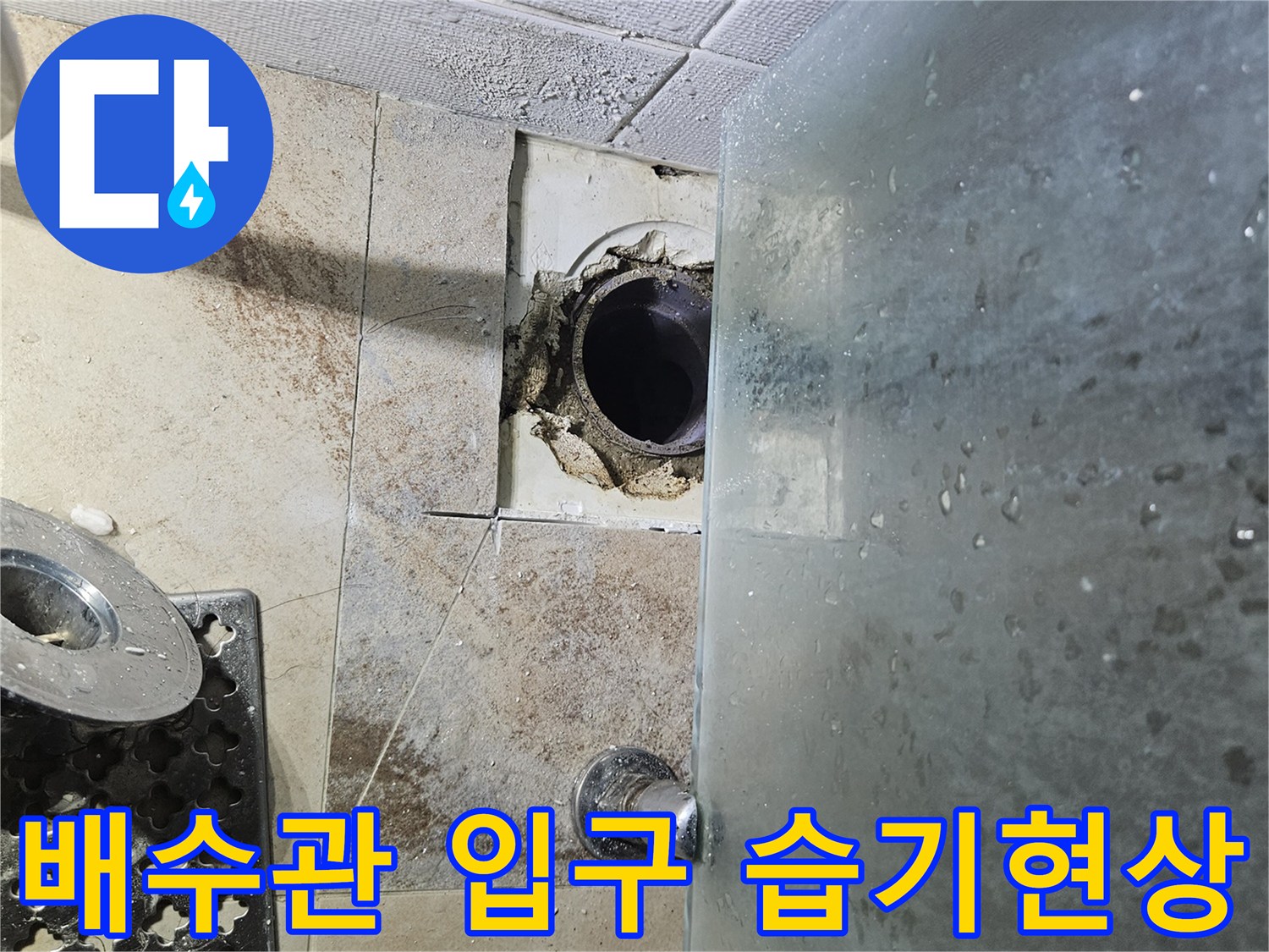 배수구-입구-주변-타일-틈새-습기-침투