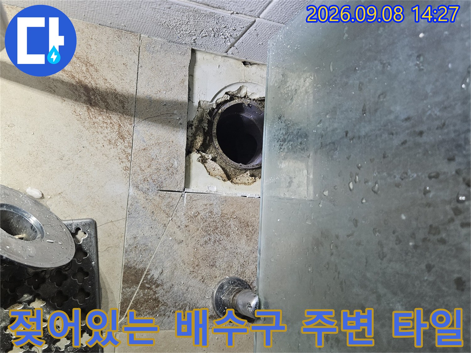 배수구 주변의 젖은 타일과 오염된 배관 입구 모습