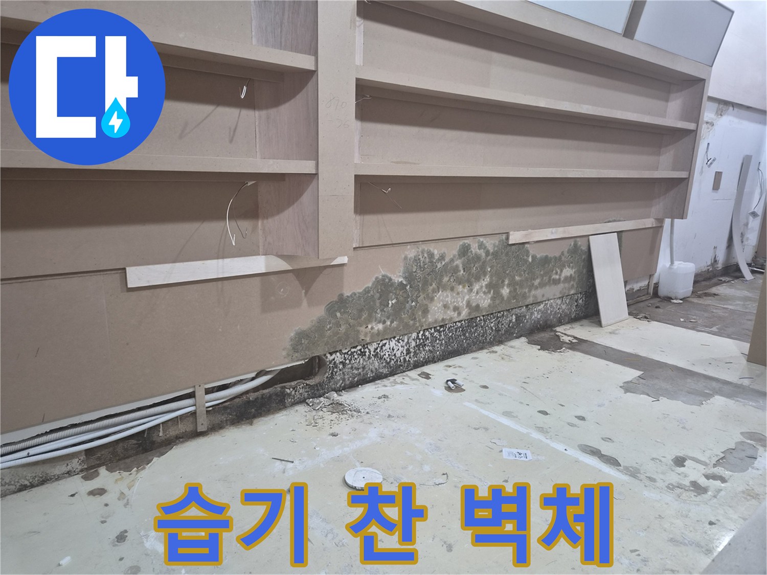 하부 벽면 부위-습기로 인해 곰팡이가 번진 모습