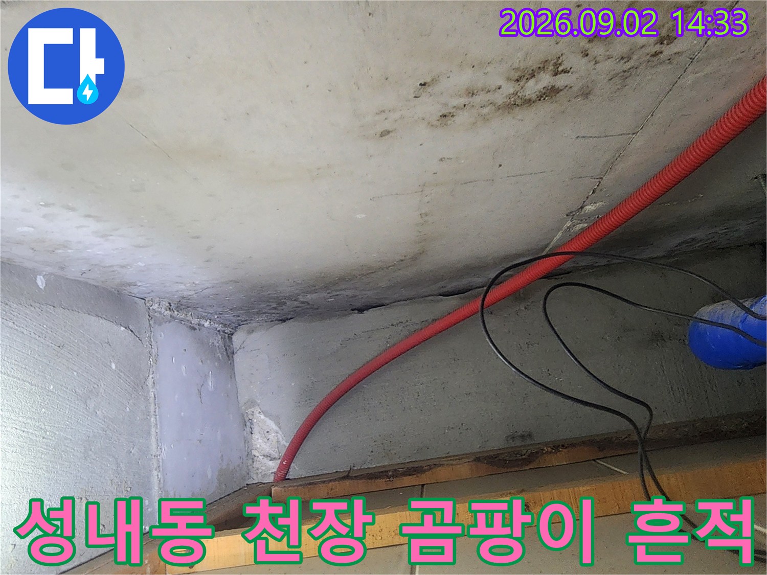강동구 성내동 현장의 천장 콘크리트 벽면 누수 및 곰팡이 오염 상태