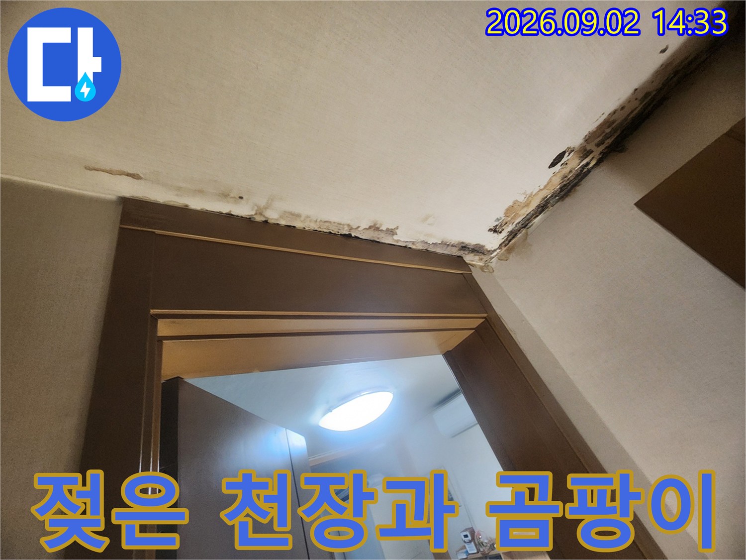 물에 젖어 변색되고 곰팡이가 생긴 천장 마감재