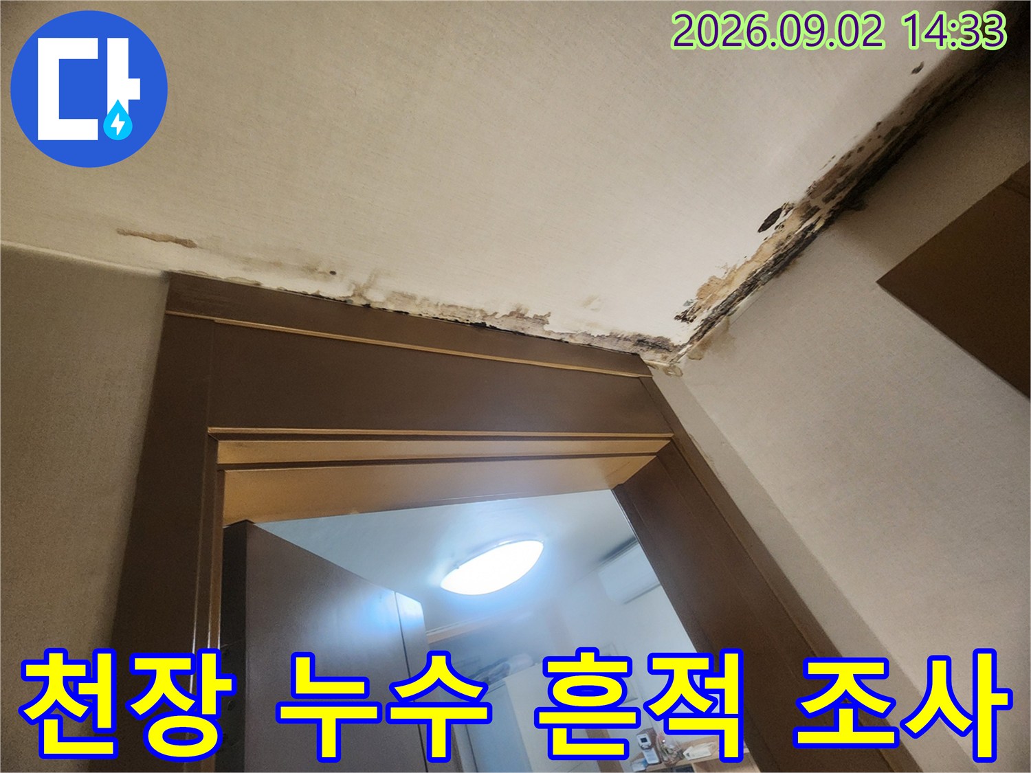 물자국과 곰팡이가 나타난 천장 마감재 부위