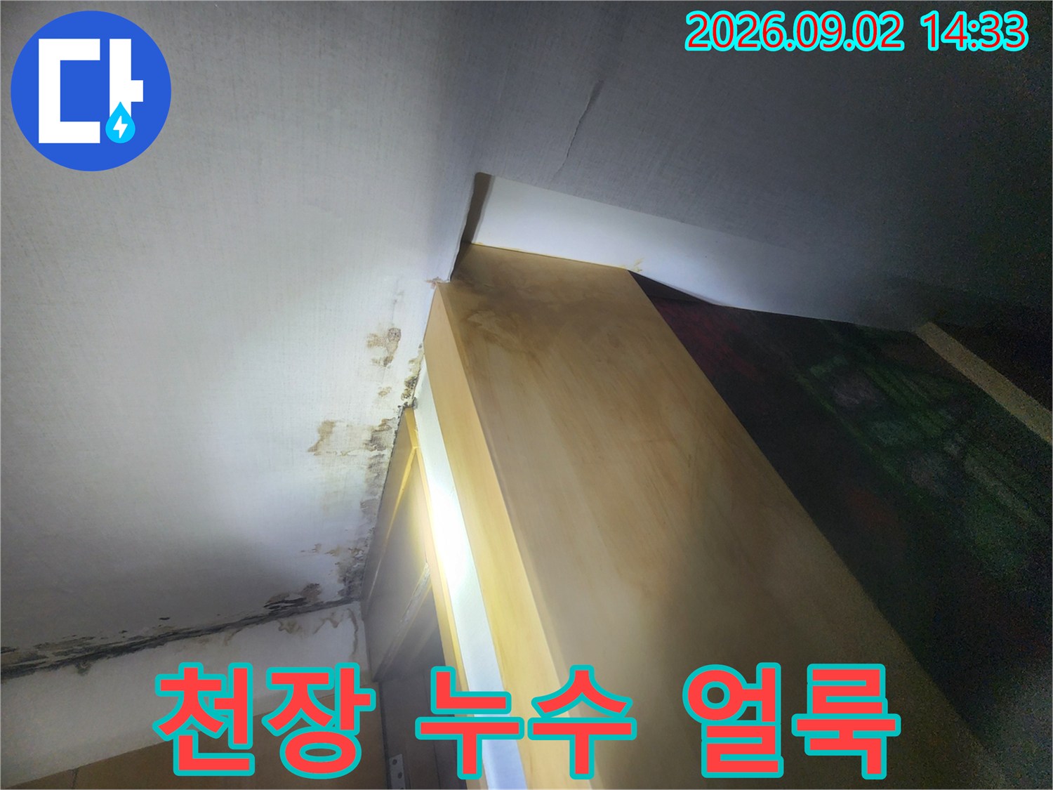 성내동 건물 천장 마감재에 나타난 누수 흔적과 곰팡이 부위
