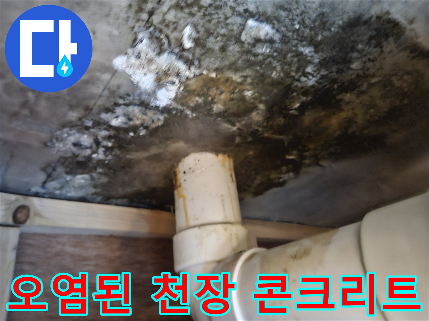 배관 주변의-심한 변색과-곰팡이 발생 부위