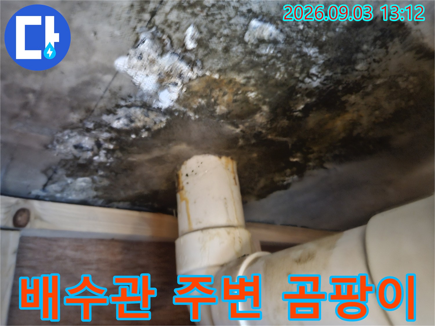 배수관 연결 부위 근처에 발생한 검은색 곰팡이와 습기 흔적