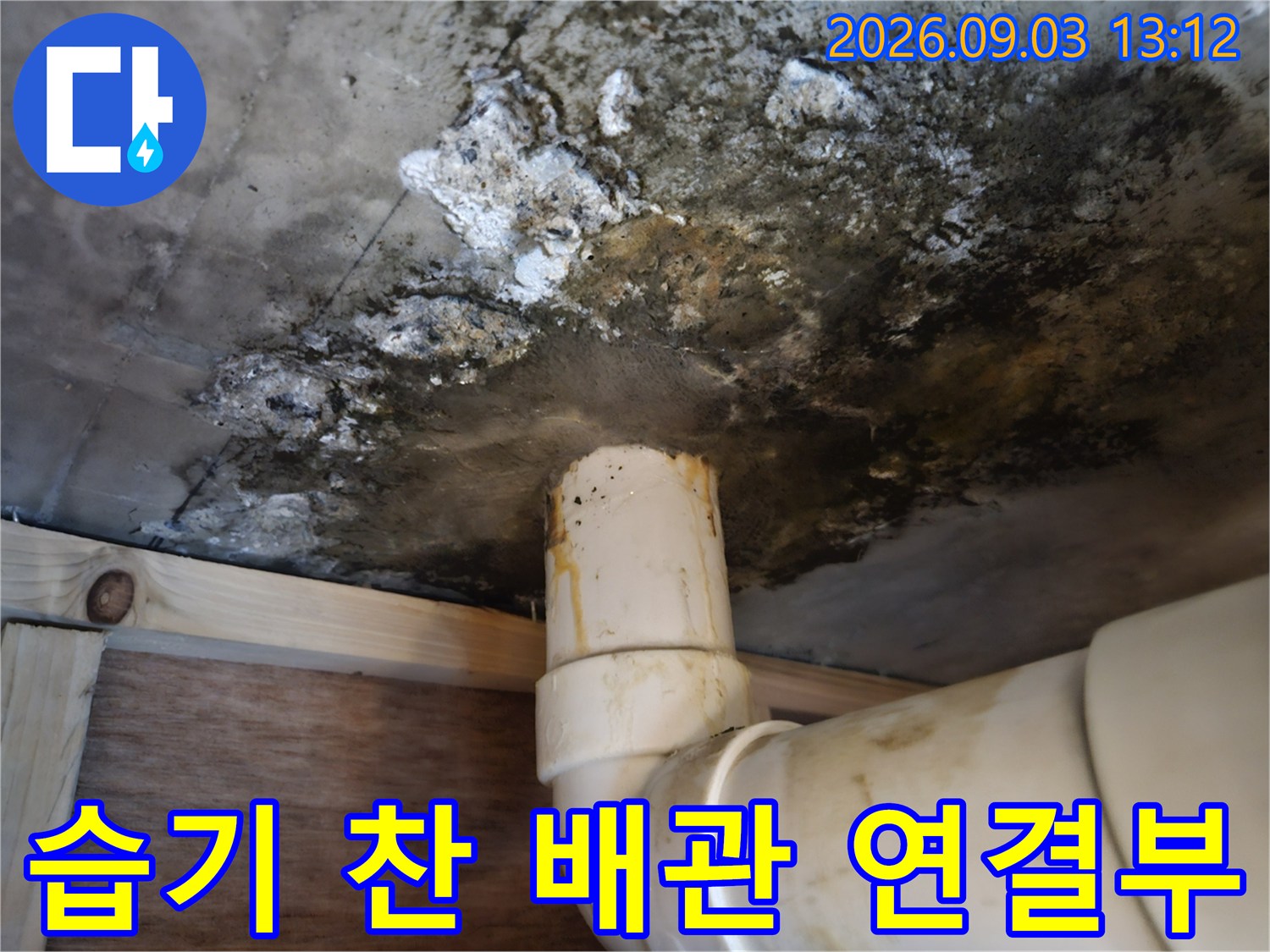 배수관 주변의-젖은 천장과-곰팡이 오염 상태