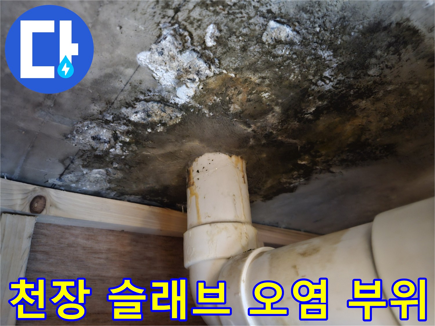 하부층 천장-배관 주변의 심각한 오염 현황