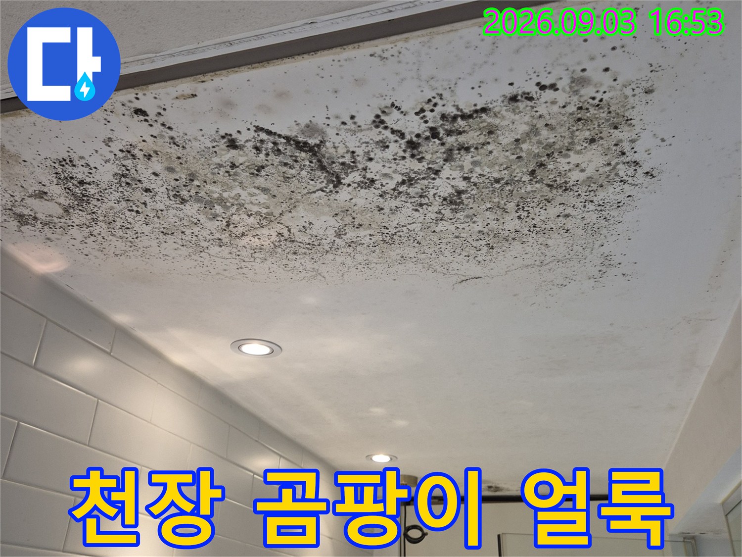 경기 광주 능평동 현장의 천장 벽지 곰팡이 얼룩 상태