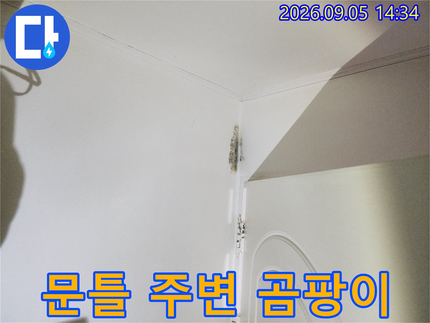 신사동 누수 피해-문틀 상단 벽지의 변색과 곰팡이 발생