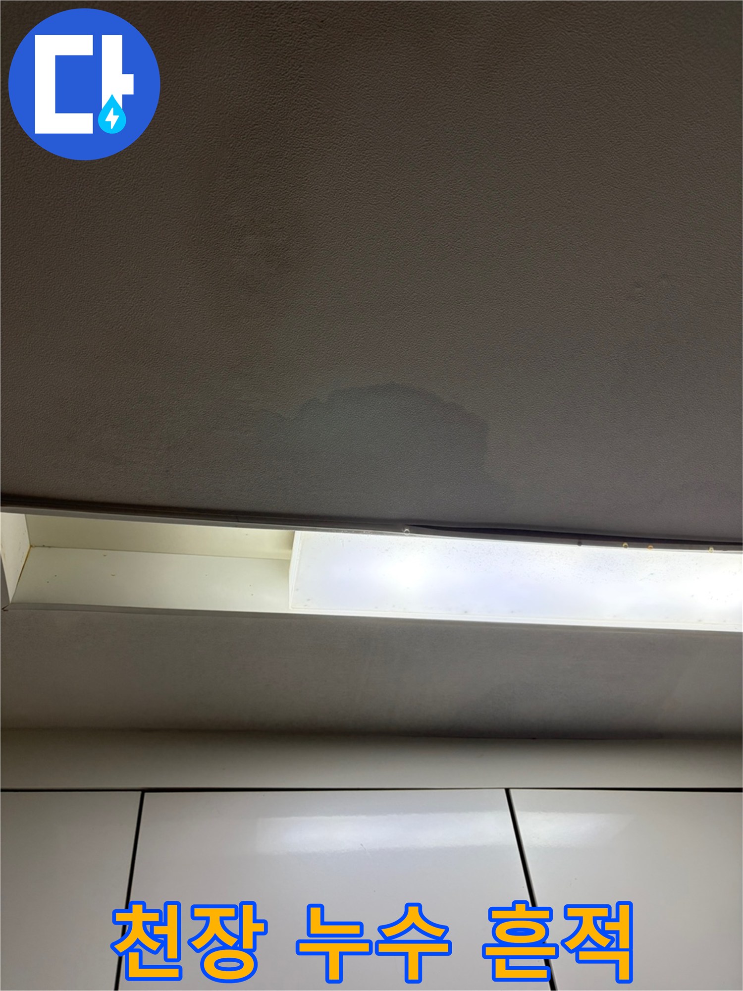 천장 도배지의 젖은 얼룩 부위
