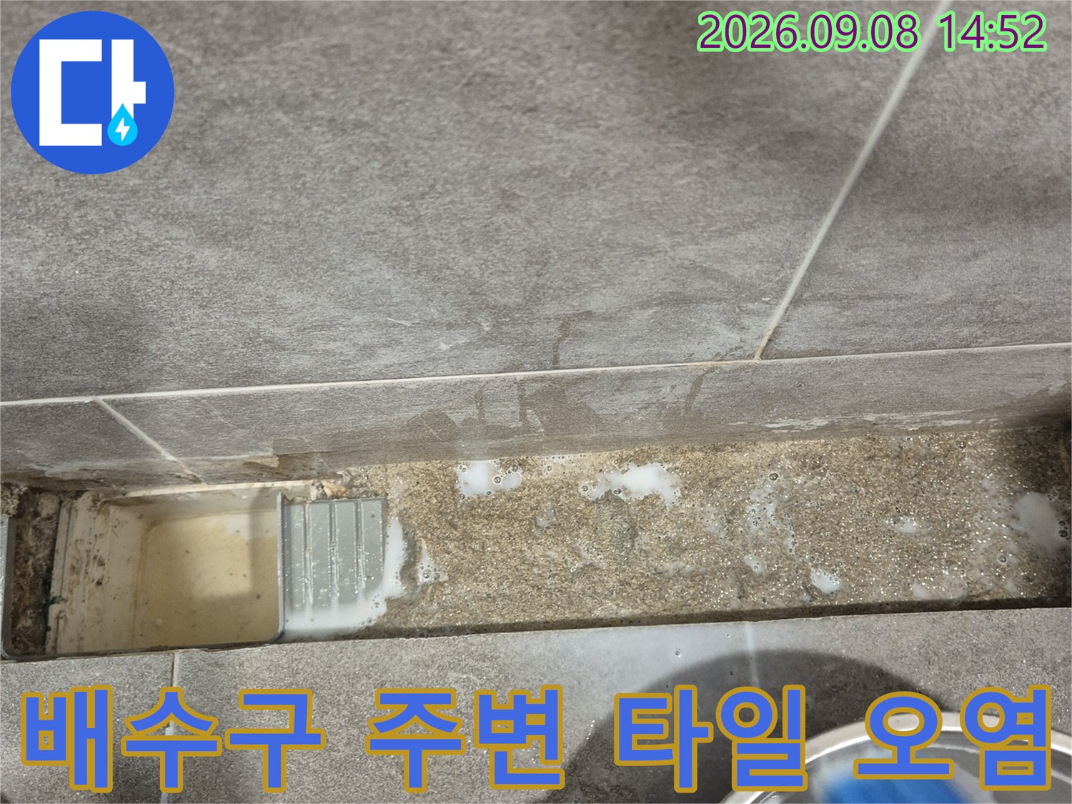 화장실 배수구-주변 타일 틈새의 습기 및 오염 상태