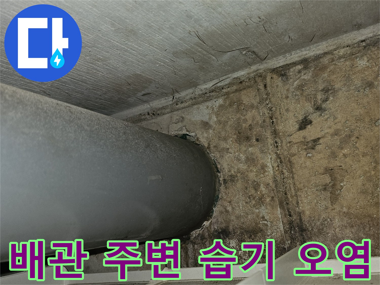 갈현동 현장-배수 파이프 주변의 젖은 콘크리트와 얼룩