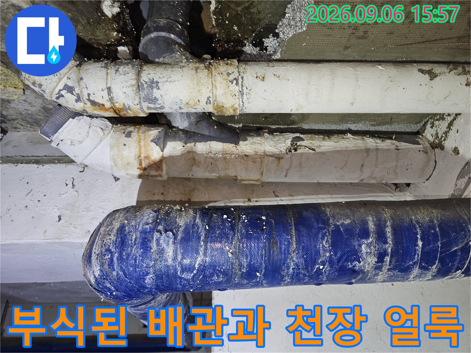 은평구 갈현동 빌라 주차장 천장의 부식된 배관과 곰팡이 얼룩 상태