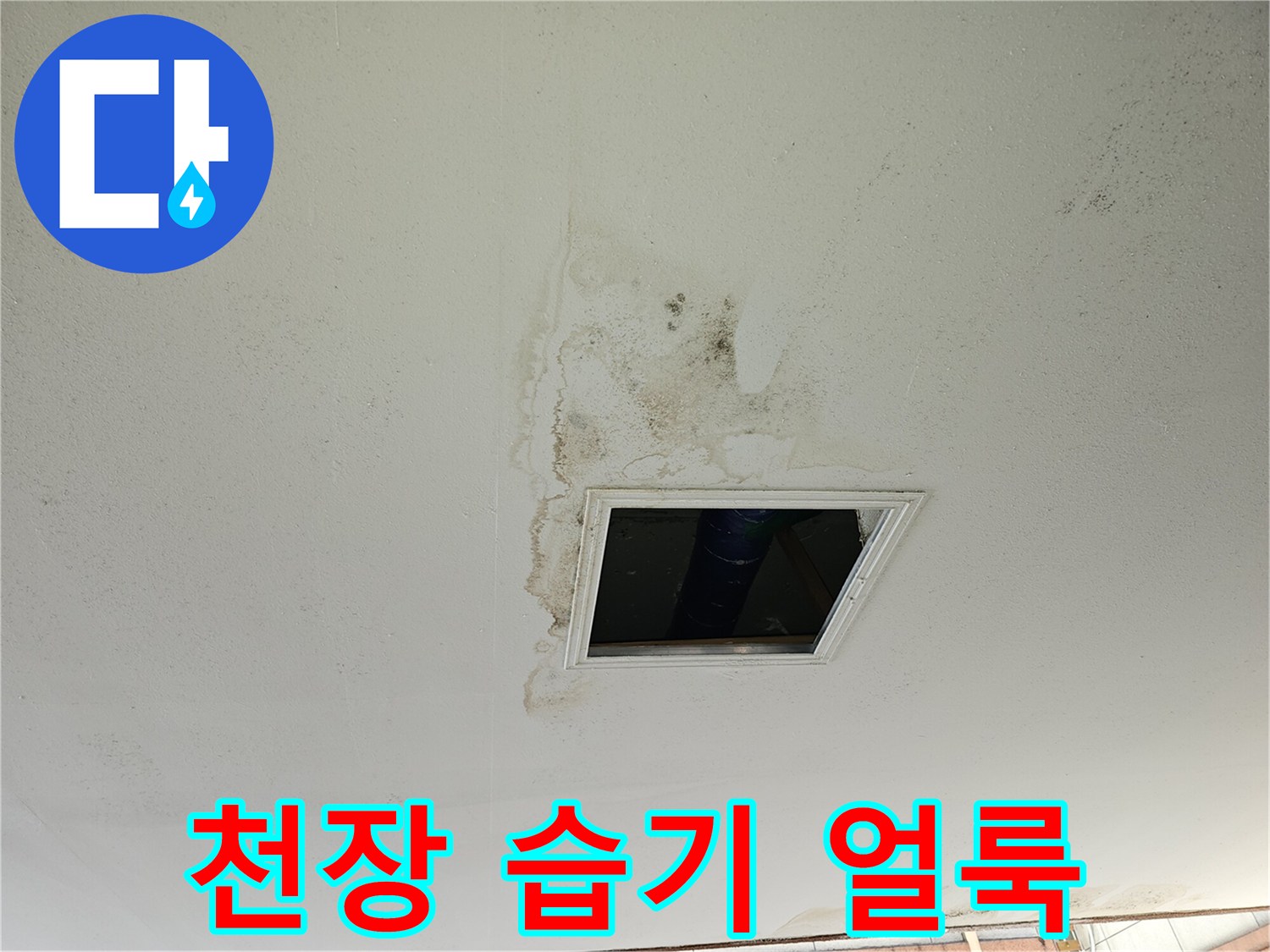점검구 주변-물에 젖어 변색된 천장 마감재