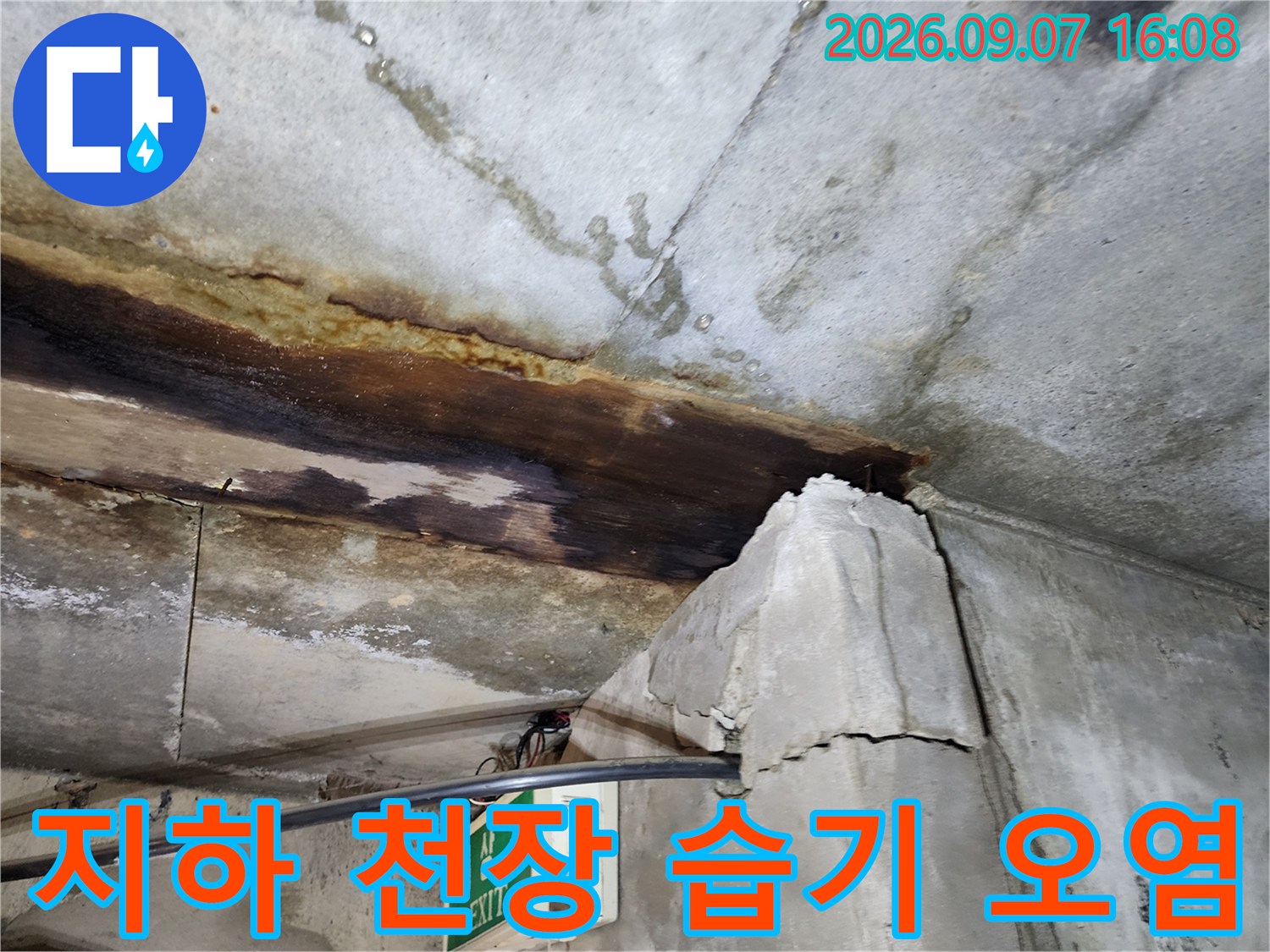 물에 젖어 어둡게 변한 지하층 천장 콘크리트 슬라브