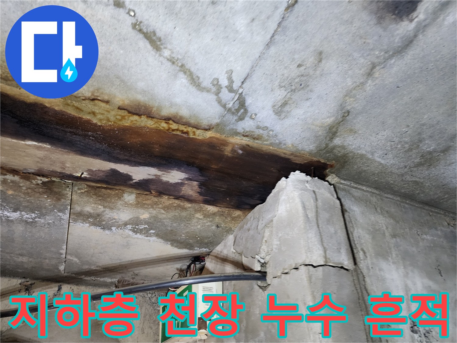 빌라 지하층-천장 콘크리트 부식 및 물샘 흔적 사진
