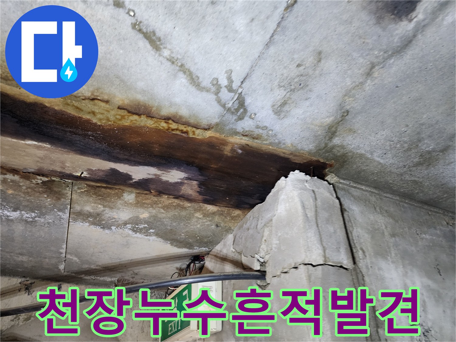 연천 전곡 빌라 지하-물샘으로 인한 천장 변색 및 젖음