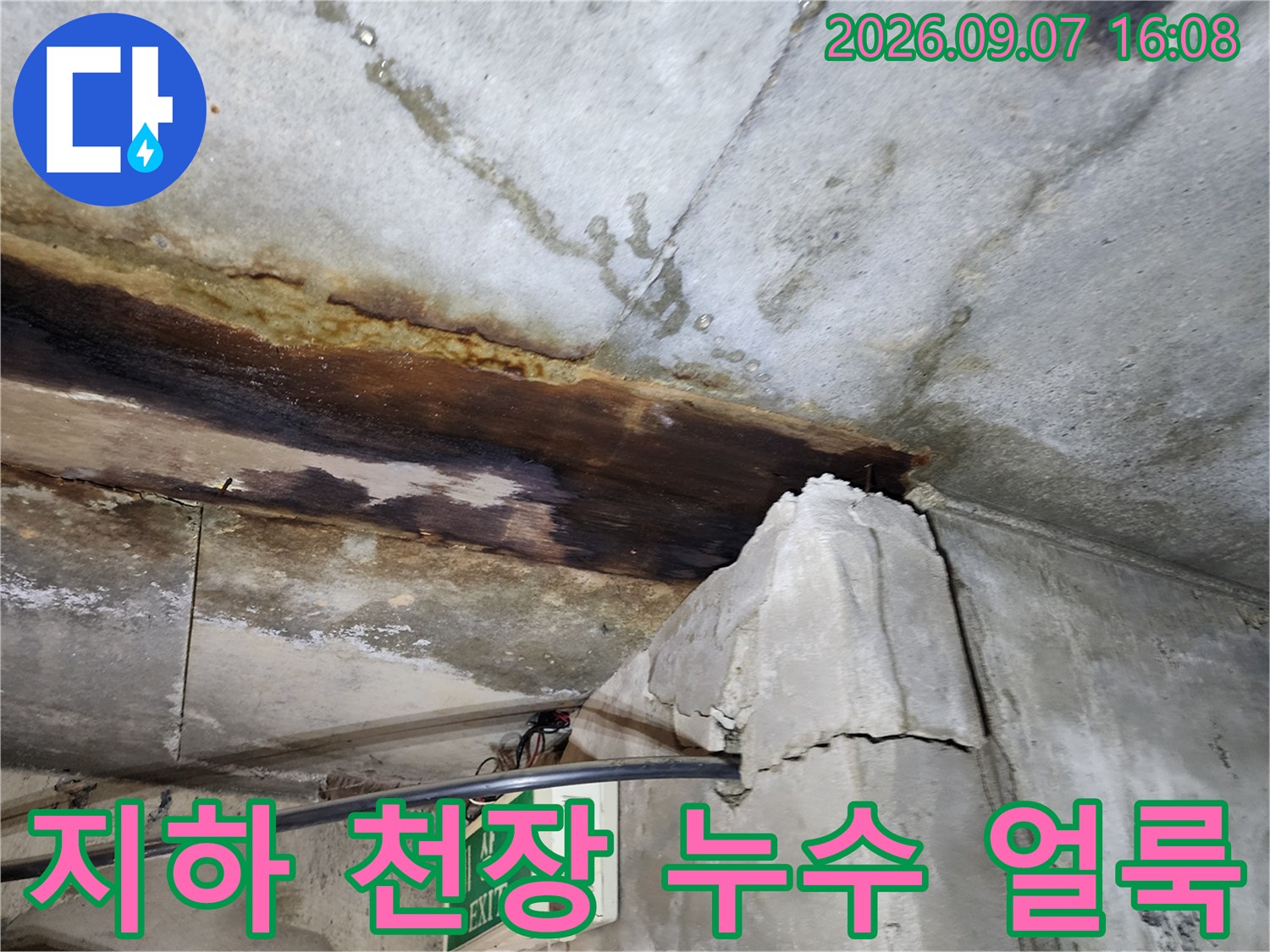 연천군 전곡읍 빌라 지하층 천장 슬라브의 심각한 누수 흔적과 오염 상태