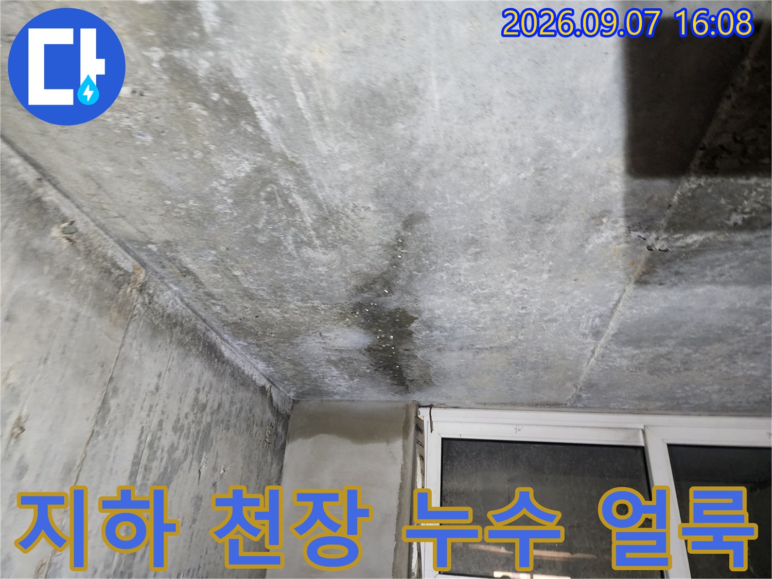 연천군 전곡읍-지하층 콘크리트 천장 누수 흔적