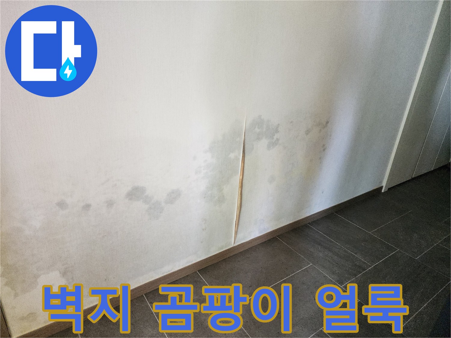 하단 벽면에 나타난 습기 및 곰팡이 오염 상태
