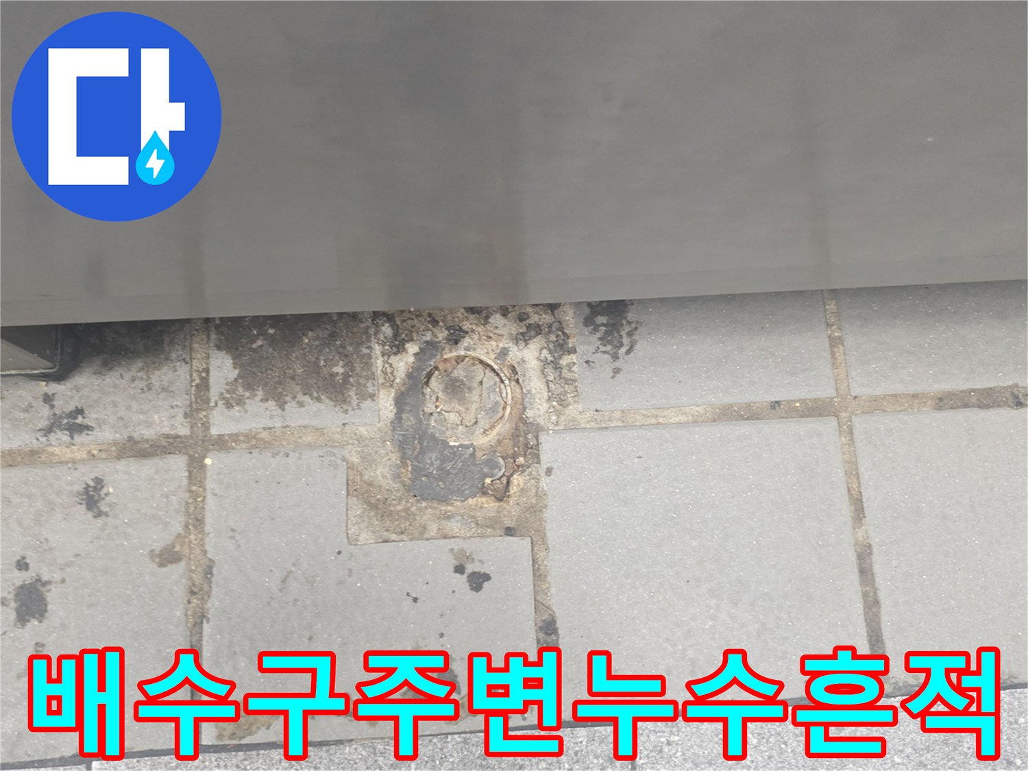 검게 변색된 배수 트랩 주변 타일과 오염된 줄눈