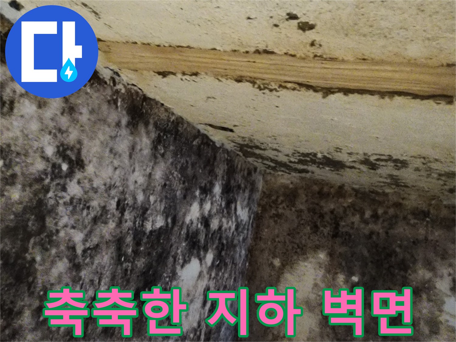 곰팡이가 번진 서초구 염곡동 지하실의 벽체와 바닥