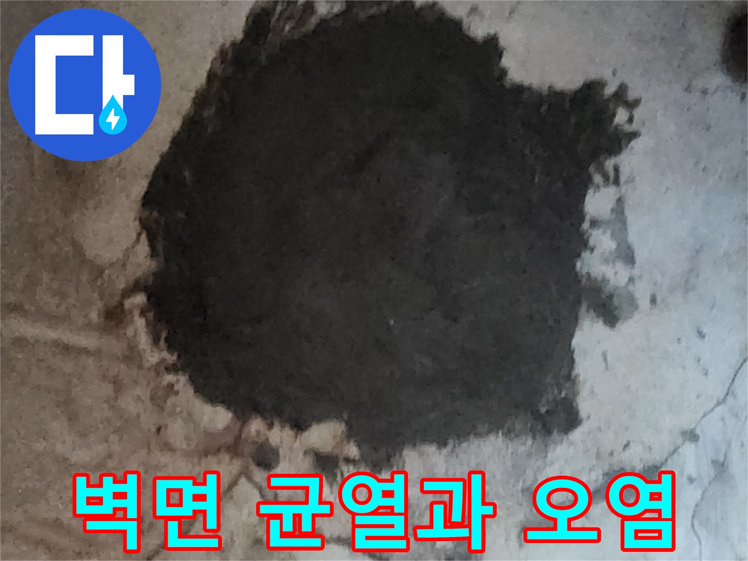 균열 사이로 수분이 스며들어 발생한 벽면의 어두운 얼룩과 곰팡이
