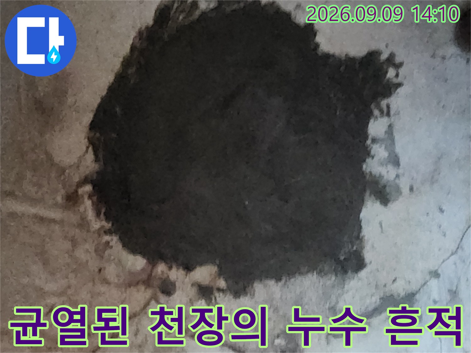 누수로 인해 갈라지고 곰팡이가 생긴 천장 표면