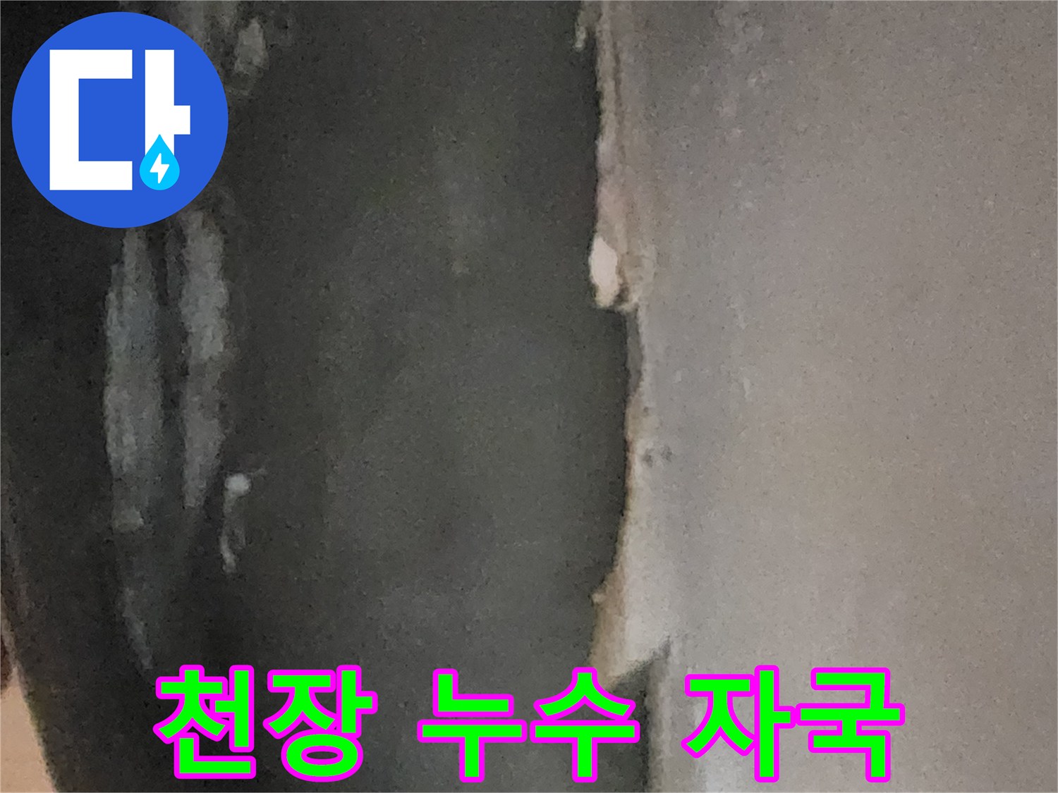 누수로 인해 얼룩진 지하실 천장의 마감 상태