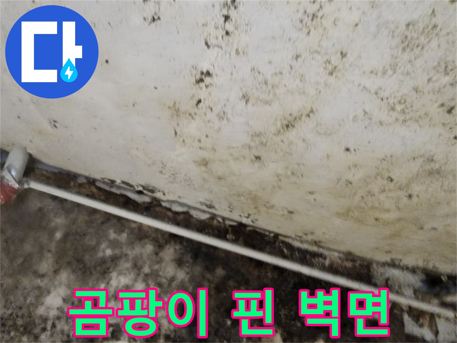 물샘 현상으로 인해 곰팡이가 번진 지하 벽면 상세