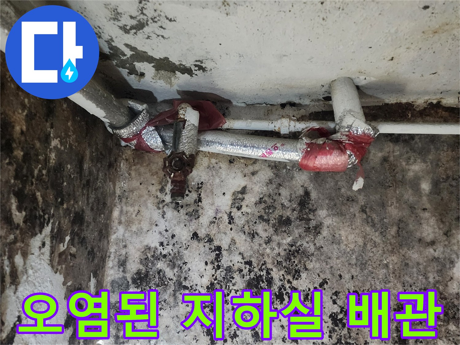 배관 주변의 심한 곰팡이와 습기로 인한 벽면 변색