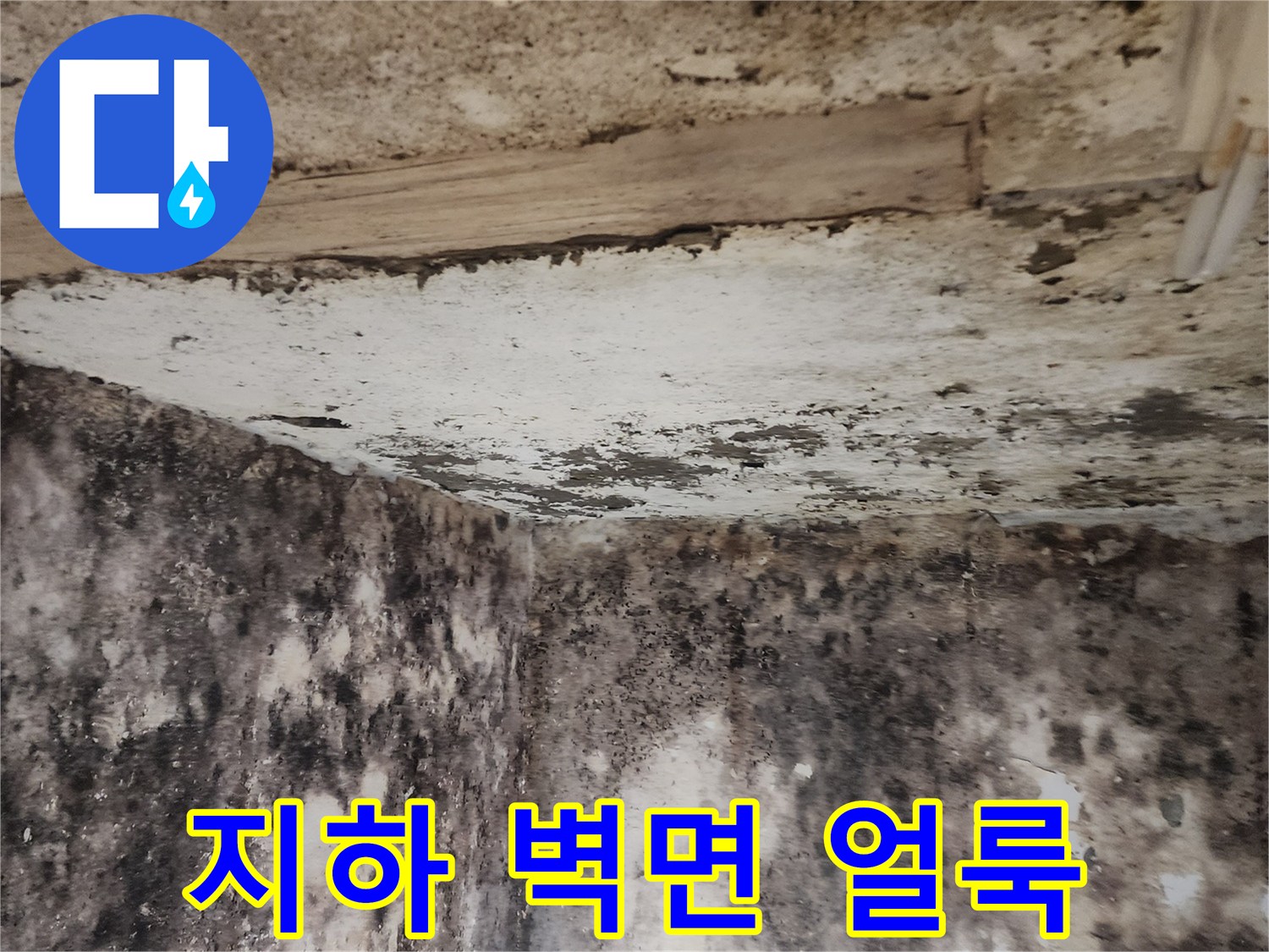 서초구 염곡동-습기로 인해 검게 변한 지하 벽면