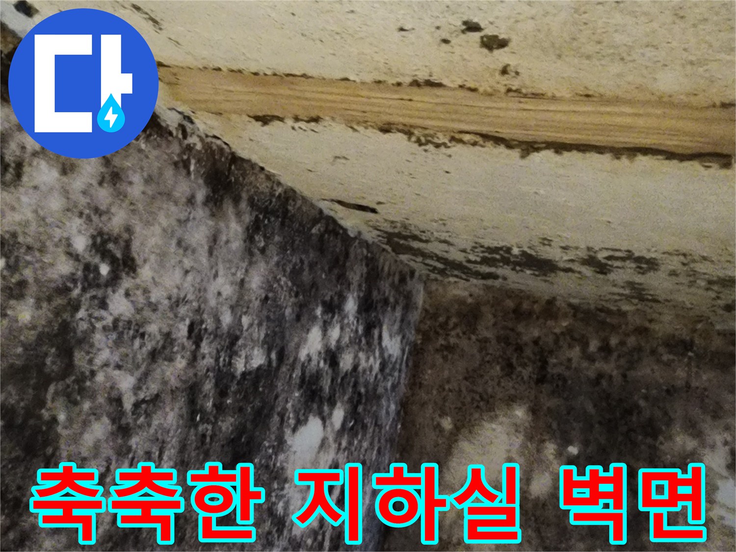 습기로 인해 변색되고 곰팡이가 발생한 지하 벽체