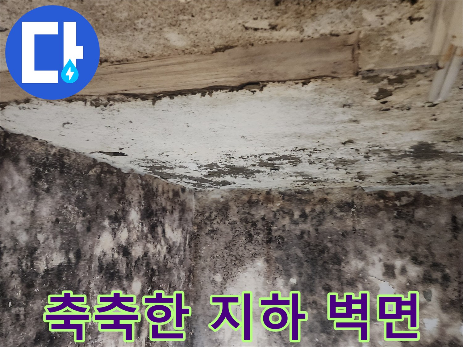 염곡동 현장-습기로 인해 오염된 지하실 벽면과 바닥